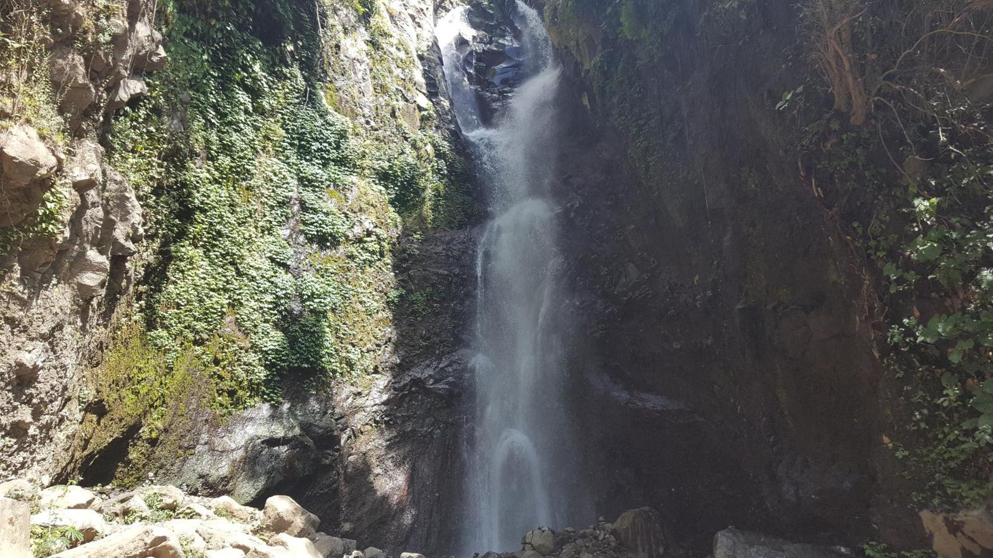 Gede'S Homestay Теджакула Экстерьер фото